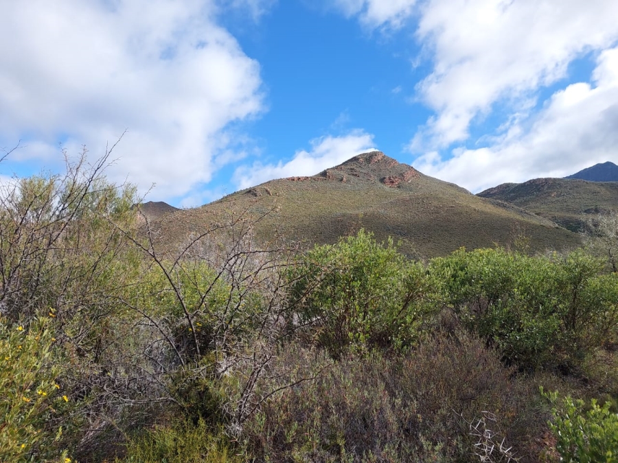 7 Bedroom Property for Sale in Ladismith Rural Western Cape